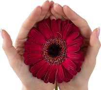 Відновлення ресурсу