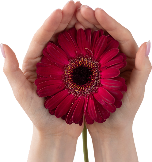  “Відновлення ресурсу